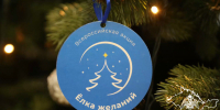 В Крыму росгвардейцы присоединились к ежегодной Всероссийской благотворительной акции «Ёлка желаний» (видео) - Росгвардия