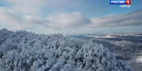 В Крыму объявили штормовое предупреждение из-за дождей и снега - Вести Крым
