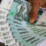 Крымстат выяснит источники доходов более 700 домохозяйств - Крымское информационное агентство