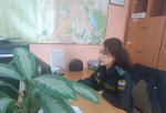 В Симферополе судебные приставы взыскали со строительного предприятия ущерб за невыполненные обязательства после ареста складского помещения