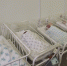 В январе в Крыму родилось почти 1500 детей - Комсомольская правда