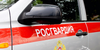 Росгвардейцы в Крыму и Севастополе за неделю задержали более 15 правонарушителей - Росгвардия