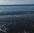 На Чёрном море могут открыть регулярное морское сообщение - Вести Крым