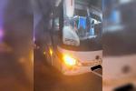 На Кубани водитель рейсового автобуса насмерть сбил велосипедиста