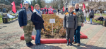 В городе-герое Керчь филиал Рослесозащиты ЦЗЛ Республики Крым высадил саженец легендарного Тополя Победы в составе аллеи краснолистных тополей