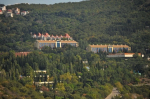 Дубравы под угрозой: как крымские леса будут защищать от вредителей