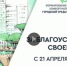 Кадр сайта администрации Симферополя - НИА Крым