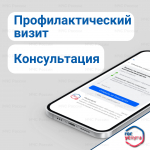 На портале Госуслуг появилась возможность подать заявку на профилактический визит МЧС России
