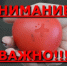 9573e7c5 b1ab 4d33 8966 5ed5ede875d9 - ГБУЗ РК Центр крови