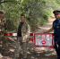 За нарушение правил пожарной безопасности в Крыму оштрафовали 600 человек - Комсомольская правда