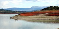 Из-за засухи в Крыму сократился объем воды в водохранилищах - Комсомольская правда