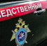 Избиением джанкойской школьницы заинтересовались следователи - Комсомольская правда