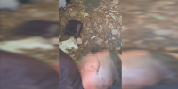 Житель Севастополя получил 14 лет колонии строгого режима за работу на СБУ - КрымИнформ
