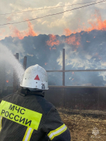 Более 60 возгораний с начала недели