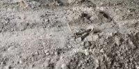 В Симферополе трое подростков нашли миномет в реке Салгир - Комсомольская правда