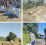 На водных объектах Республики Крым продолжаются мероприятия Всероссийской экологической  акции «Вода России» - Комитет по водному хозяйству и мелиорации