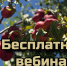 Минсельхоз Крыма сообщает о проведении бесплатного образовательного вебинара, посвященного актуальным вопросам бухгалтерского учета в АПК - Минсельхоз Республики Крым