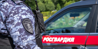Росгвардейцы за неделю пресекли ряд правонарушений в Крыму и Севастополе - Росгвардия