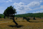 Фото администрации Ялты