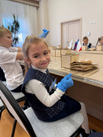 В Крыму стартовала акция для первоклассников «Вырасти своё дерево»