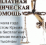 С начала года Минюстом Крыма оказана бесплатная юридическая помощь 5,6 тысячам гражданам - Министерство юстиции