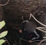 Спасатели вытащили мужчину из четырехметрового колодца в Алуште - Комсомольская правда