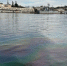 Фото пресс-службы Черноморо-Азовского морского управления Росприроднадзора. - Крымская правда