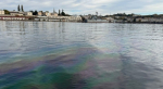 Фото пресс-службы Черноморо-Азовского морского управления Росприроднадзора.
