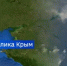 Проверку по факту жестокого обращения с животными проводят в Белогорском районе - Вести Крым