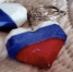 Фото пресс-службы «Общероссийского народного фронта в Республике Крым». - Крымская правда