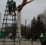 В Керчи устанавливают елку на площади перед ДК «Корабел» - Комсомольская правда