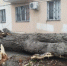 В Феодосии устраняют последствия непогоды - Вести Крым