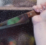 «Потому что он тварь беспомощная!»: в Севастополе девушка ранила ножом сожителя - Комсомольская правда