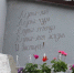 Алупка вошла в топ-10 популярных направлений для длительного отдыха в феврале - Комсомольская правда
