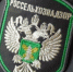 Больше 700 килограммов мяса, зараженного сальмонеллой, уничтожили в Крыму - Вести Крым