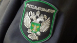 Больше 700 килограммов мяса, зараженного сальмонеллой, уничтожили в Крыму
