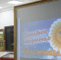 Масленичные гуляния в Симферопольском художественном музее - Художественный музей
