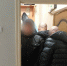 JPG Файл - МВД по Республике Крым