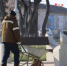 В Керчи началась подготовка к весеннему озеленению - Вести Крым