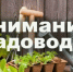 Члены крымских СНТ могут бесплатно оформить садовые участки в собственность - КрымИнформ
