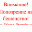 Подозрение на бешенство домашнего кота в с. Табачное, Джанкойского района Республики Крым - Комитет ветеринарии