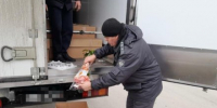 В Крым с начала года ввезли почти 400 тысяч цветов из разных стран мира - Вести Крым