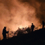 Крупный пожар камыша ликвидирован в Сакском районе - КрымИнформ