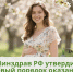 Минздрав РФ утвердил новый порядок оказания помощи беременным - Городская детская клиническая больница