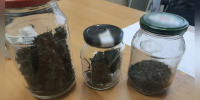Семейную пару из Черноморского района обвиняют в незаконном хранении конопли - КрымИнформ