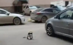 Самовольные парковочные барьеры во дворах Симферополя демонтируют