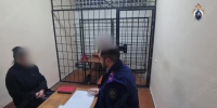 Житель Джанкойского района заключен под стражу по обвинению в нападении на сотрудников полиции с применением оружия (ВИДЕО) - Следственный комитет