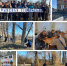 В Госкомводхозе завершилась акция «Из Крыма и Севастополя с любовью» - Комитет по водному хозяйству и мелиорации