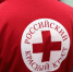 Российский Красный Крест проводит мониторинг общественных организаций в сфере здоровья - Минздрав Крыма
