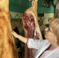 В Крыму продолжается работа по контролю за мясной продукцией - Комитет ветеринарии